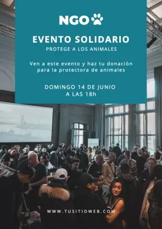 Crea diseños para tu ONG gratis