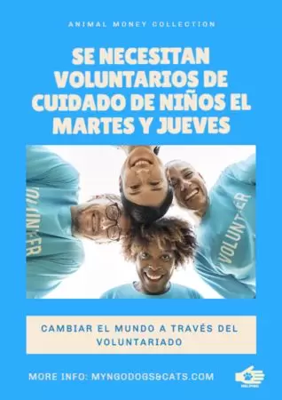 Crea diseños para tu ONG gratis