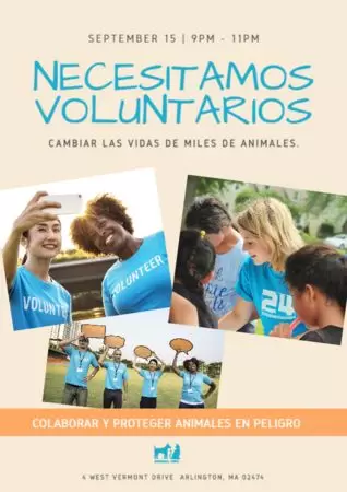 Edita una plantilla para encontrar voluntarios