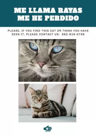 Crear cartel para tu mascota