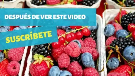 Edita una plantilla de recetas