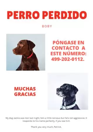 Crear cartel para tu mascota