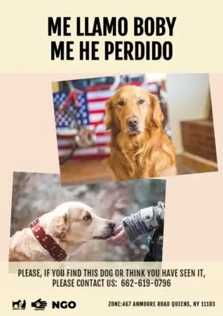 Crear cartel para tu mascota