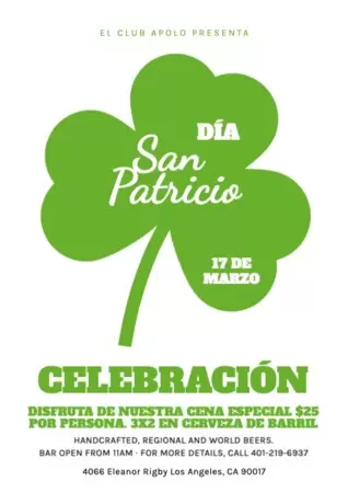 Edita un flyer de fiesta