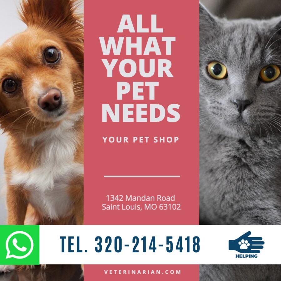 Editable posters for a pet store