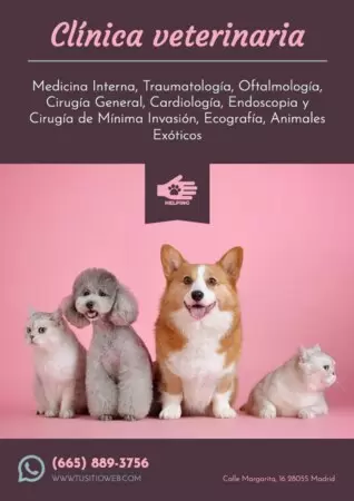 Editar una imagen de veterinaria