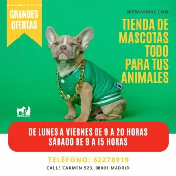 Edita un cartel para mascotas