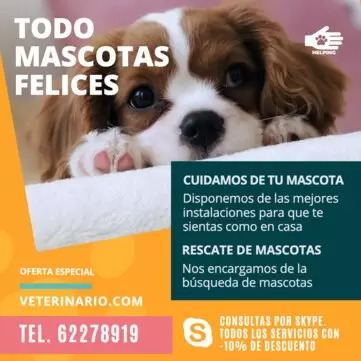 Edita un cartel para mascotas