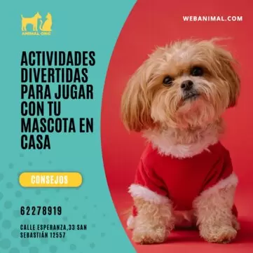 Edita un cartel para mascotas