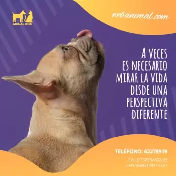 Editar imagen con frase motivadora