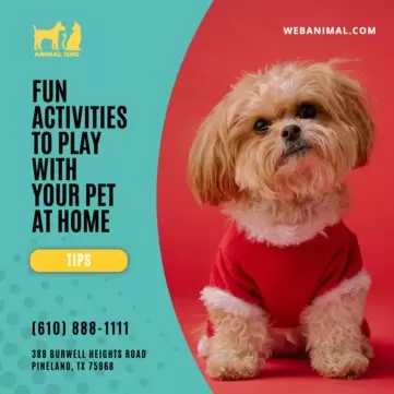 Editar um cartaz sobre animais de estimação