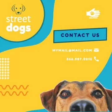 Editar um cartaz sobre animais de estimação