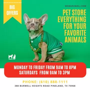 Editar um cartaz sobre animais de estimação