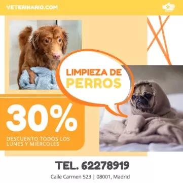 Edita un cartel para mascotas