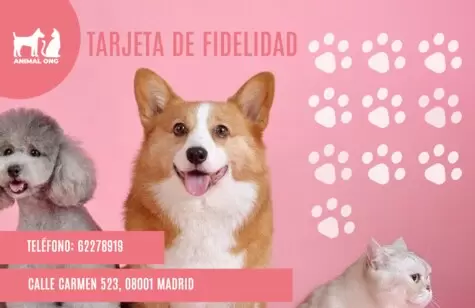 Crea tus portadas para Youtube