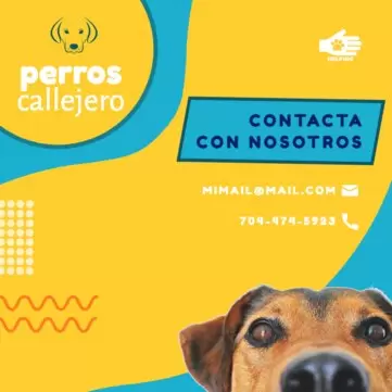 Edita un cartel para mascotas