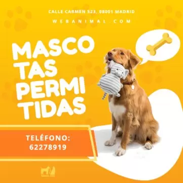 Edita un cartel para mascotas