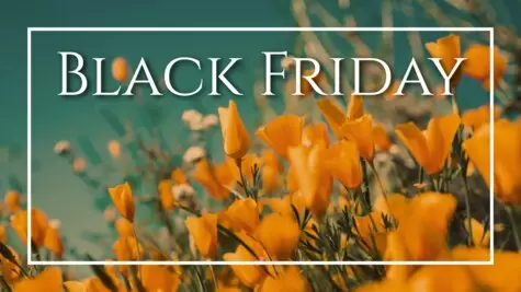 Elabora la grafica del canale Youtube