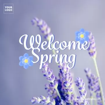 Edit a spring design