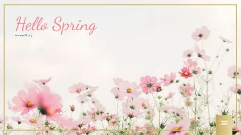 Edit a spring design