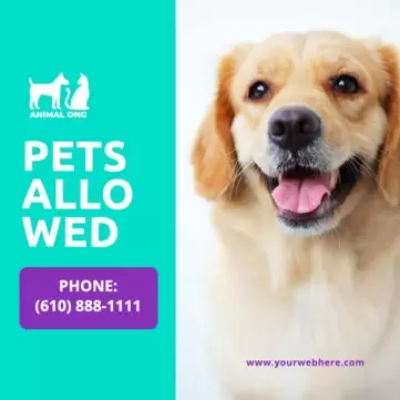 Editar um cartaz sobre animais de estimação