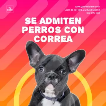 Edita un cartel para mascotas
