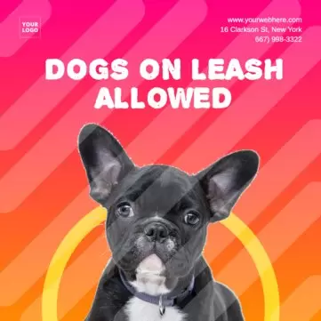 Editar um cartaz sobre animais de estimação