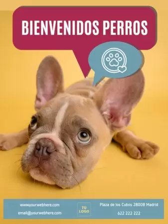 Editar un cartel pet friendly