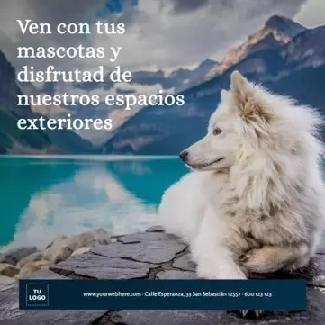 Edita un cartel para mascotas