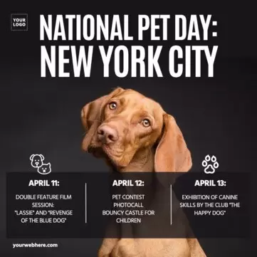 Modifica un modello per il Pet Day