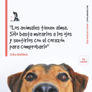 Edita un póster de maltrato animal