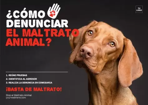 Edita un póster de maltrato animal