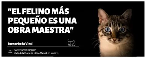 Editar una plantilla del Dia del Gato