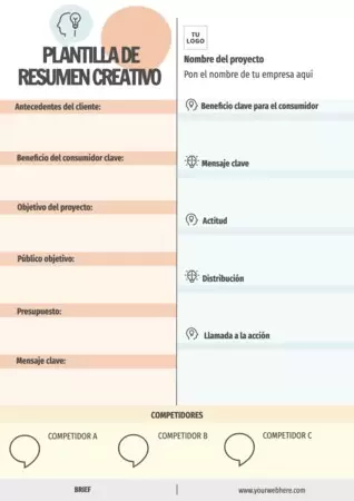 Edita el brief de una empresa