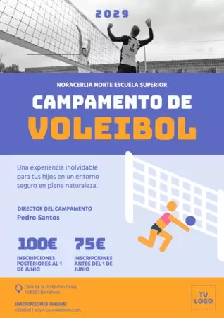 Edita un cartel de voleibol