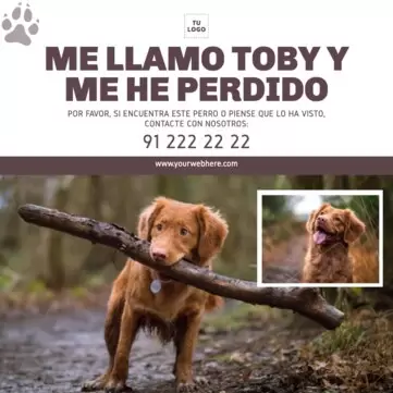 Crear cartel para tu mascota