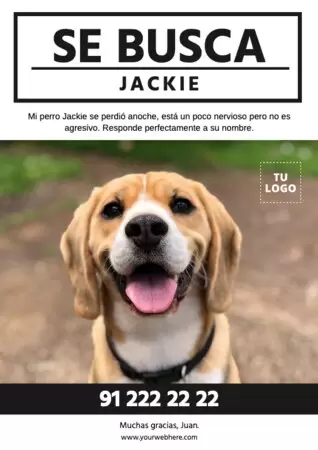 Crear cartel para tu mascota