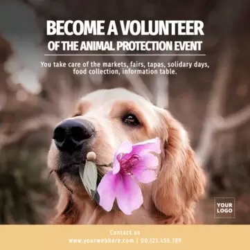 Editar um cartaz para salvar os animais