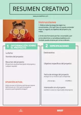 Edita el brief de una empresa