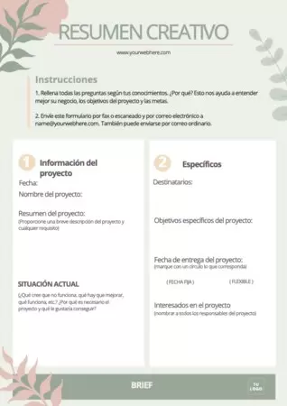 Edita el brief de una empresa