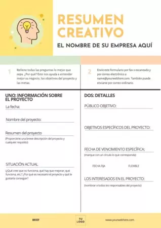 Edita el brief de una empresa