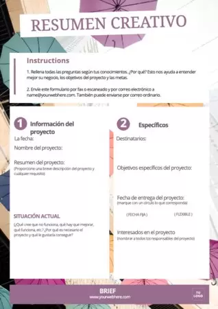 Edita el brief de una empresa