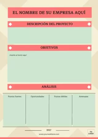 Edita el brief de una empresa