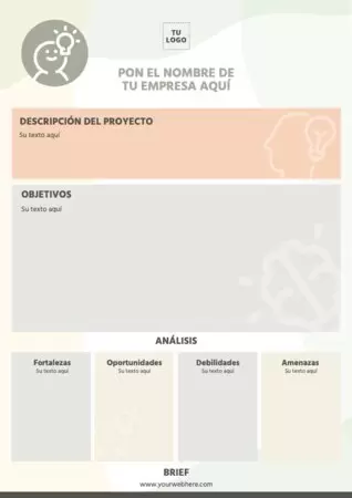 Edita el brief de una empresa