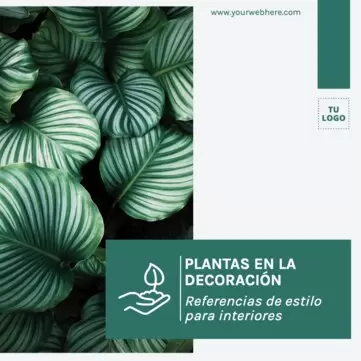 Edita una plantilla para Instagram