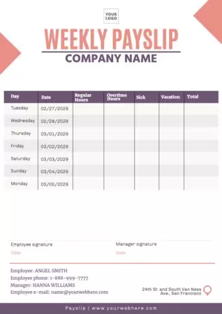 Free Pay Stub Templates to Edit
