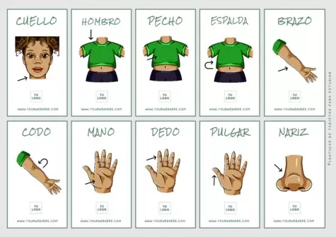 Edita Flashcards gratis
