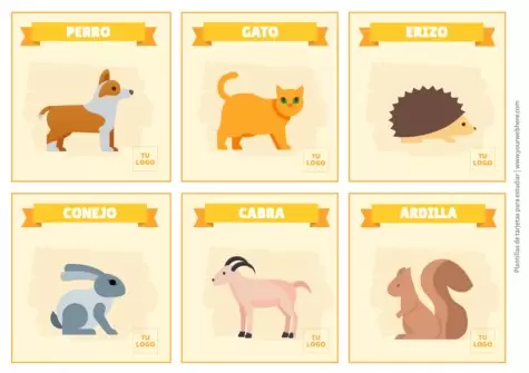 Edita Flashcards gratis