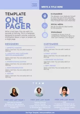 Free Business One Pager Template Free Business One Pager Template