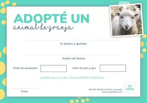 Edita diseños de coaching